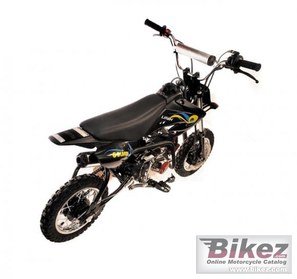 2011 Lifan Goldfish 50 photo